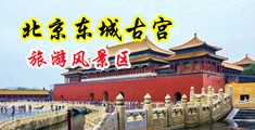 爱爱小视频骚穴中国北京-东城古宫旅游风景区
